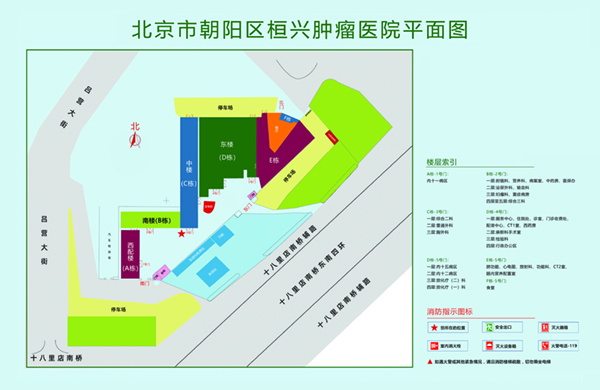 男人日女人BB视频北京市朝阳区桓兴肿瘤医院平面图